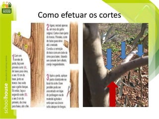 Como efetuar os cortes
 