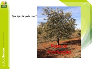 Que tipo de poda usar?
Poda de
frutificação
 