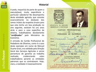 Historial
A poda, requer(ia) da parte de quem a
executa(ava), muita experiência e
particular sabedoria! No desempenho
desta atividade agrícola, que consiste
essencialmente no desbaste dos
ramos inúteis da respetiva árvore para
que esta tenha um boa produção no
ano seguinte, existiam há uns anos
atrás e para o caso específico da
oliveira, trabalhadores devidamente
"certificados" pelo Ministério da
Economia.
A emissão do Cartão Profissional de
Podadores de Oliveiras, como é o caso
deste exemplar em nome de Manuel
Duarte Grais, era validado pela Direção
Geral dos Serviços Agrícolas e servia
porventura de garantia ao trabalho
realizado, credenciando estes
trabalhadores perante as entidades
patronais que os contratavam. Hoje,
claro, a realidade é inexoravelmente
 