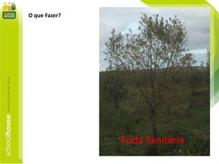 O que Fazer?
Poda Sanitária
 