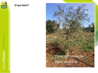 O que fazer?
Poda de Formação
Poda Sanitária
 