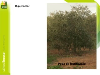 O que fazer?
Poda de frutificação
 