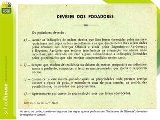 No verso do cartão, constavam algumas das regras que os profissionais "Podadores de Oliveiras", deveriam
de respeitar e cumprir.
 