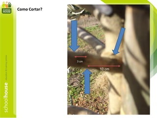 Como Cortar?
3 cm
10 cm
 