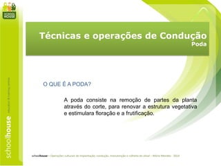 Técnicas e operações de Condução
Poda
schoolhouse – Operações culturais de implantação, condução, manutenção e colheita do olival – Mário Mendes - 2014
O QUE É A PODA?
A poda consiste na remoção de partes da planta
através do corte, para renovar a estrutura vegetativa
e estimulara floração e a frutificação.
 