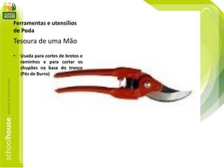 Ferramentas e utensílios
de Poda
Tesoura de uma Mão
• Usada para cortes de brotos e
raminhos e para cortar os
chupões na base do tronco
(Pés de Burro)
 