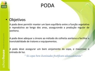 PODA
• Objetivos
A poda deve permitir manter um bom equilíbrio entre a função vegetativa
e reprodutiva ao longo dos anos, assegurando a produção regular de
azeitona.
A poda deve adequar a árvore ao método de colheita azeitona e facilitar a
transitabilidade de tratores e equipamentos.
A poda deve assegurar um bom arejamento da copa, e maximixar a
entrada de luz.
“ Só copas bem iluminadas frutificam adequadamente”
 