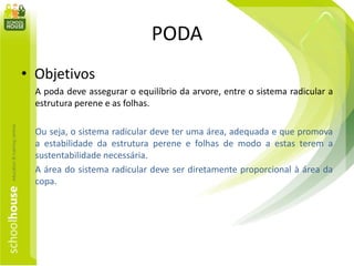 PODA
• Objetivos
A poda deve assegurar o equilíbrio da arvore, entre o sistema radicular a
estrutura perene e as folhas.
Ou seja, o sistema radicular deve ter uma área, adequada e que promova
a estabilidade da estrutura perene e folhas de modo a estas terem a
sustentabilidade necessária.
A área do sistema radicular deve ser diretamente proporcional à área da
copa.
 
