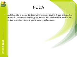 PODA
• As folhas são o motor do desenvolvimento da árvore. A sua actividade é
suportada pela radiação solar, pelo dióxido de carbono atmosférico e pela
água e sais minerais que a planta absorve pelas raízes.
 