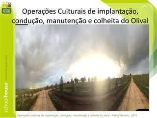 Operações Culturais de implantação,
condução, manutenção e colheita do Olival
Operações culturais de implantação, condução, manutenção e colheita do olival – Mário Mendes - 2014
 