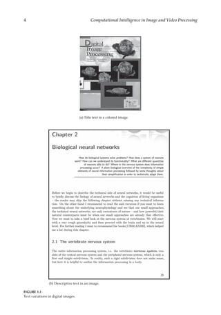 Computational Intelligence In Image And Video Processing Mukesh D Patil ...