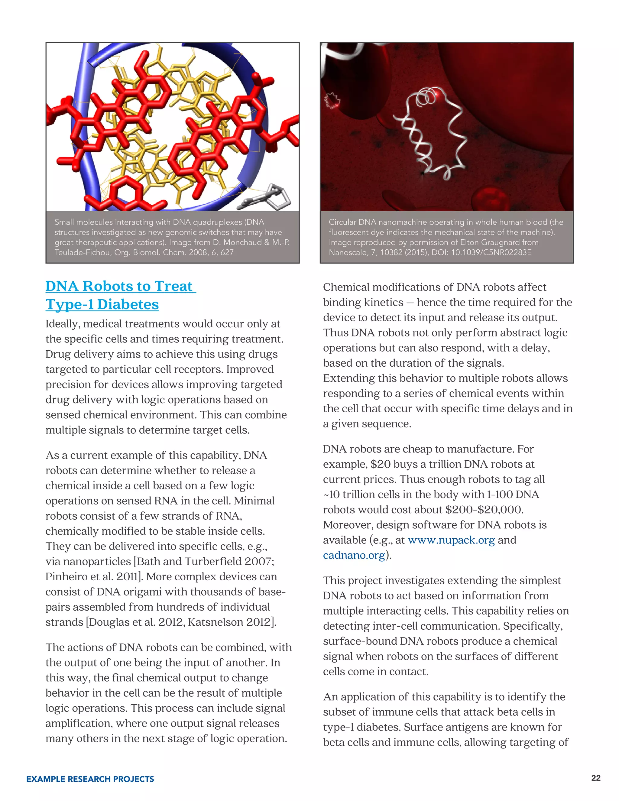 22
DNA Robots to Treat
Type-1 Diabetes
Ideally, medical treatments would occur only at
the specific cells and times requiring treatment.
Drug delivery aims to achieve this using drugs
targeted to particular cell receptors. Improved
precision for devices allows improving targeted
drug delivery with logic operations based on
sensed chemical environment. This can combine
multiple signals to determine target cells.
As a current example of this capability, DNA
robots can determine whether to release a
chemical inside a cell based on a few logic
operations on sensed RNA in the cell. Minimal
robots consist of a few strands of RNA,
chemically modified to be stable inside cells.
They can be delivered into specific cells, e.g.,
via nanoparticles [Bath and Turberfield 2007;
Pinheiro et al. 2011]. More complex devices can
consist of DNA origami with thousands of base-
pairs assembled from hundreds of individual
strands [Douglas et al. 2012, Katsnelson 2012].
The actions of DNA robots can be combined, with
the output of one being the input of another. In
this way, the final chemical output to change
behavior in the cell can be the result of multiple
logic operations. This process can include signal
amplification, where one output signal releases
many others in the next stage of logic operation.
Chemical modifications of DNA robots affect
binding kinetics – hence the time required for the
device to detect its input and release its output.
Thus DNA robots not only perform abstract logic
operations but can also respond, with a delay,
based on the duration of the signals.
Extending this behavior to multiple robots allows
responding to a series of chemical events within
the cell that occur with specific time delays and in
a given sequence.
DNA robots are cheap to manufacture. For
example, $20 buys a trillion DNA robots at
current prices. Thus enough robots to tag all
~10 trillion cells in the body with 1-100 DNA
robots would cost about $200-$20,000.
Moreover, design software for DNA robots is
available (e.g., at www.nupack.org and
cadnano.org).
This project investigates extending the simplest
DNA robots to act based on information from
multiple interacting cells. This capability relies on
detecting inter-cell communication. Specifically,
surface-bound DNA robots produce a chemical
signal when robots on the surfaces of different
cells come in contact.
An application of this capability is to identify the
subset of immune cells that attack beta cells in
type-1 diabetes. Surface antigens are known for
beta cells and immune cells, allowing targeting of
Small molecules interacting with DNA quadruplexes (DNA
structures investigated as new genomic switches that may have
great therapeutic applications). Image from D. Monchaud & M.-P.
Teulade-Fichou, Org. Biomol. Chem. 2008, 6, 627
EXAMPLE RESEARCH PROJECTS
Circular DNA nanomachine operating in whole human blood (the
fluorescent dye indicates the mechanical state of the machine).
Image reproduced by permission of Elton Graugnard from
Nanoscale, 7, 10382 (2015), DOI: 10.1039/C5NR02283E
 