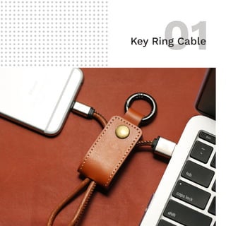 01Key Ring Cable
 