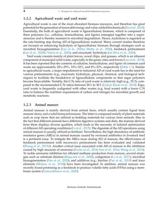 Biomass Biofuels Biochemicals Microbial Fermentation Of Biowastes Le ...