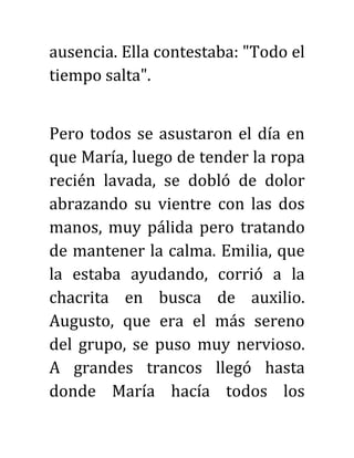 ausencia. Ella contestaba: "Todo el
tiempo salta".
Pero todos se asustaron el día en
que María, luego de tender la ropa
recién lavada, se dobló de dolor
abrazando su vientre con las dos
manos, muy pálida pero tratando
de mantener la calma. Emilia, que
la estaba ayudando, corrió a la
chacrita en busca de auxilio.
Augusto, que era el más sereno
del grupo, se puso muy nervioso.
A grandes trancos llegó hasta
donde María hacía todos los
 