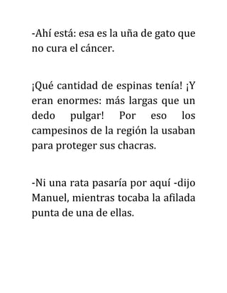 -Ahí está: esa es la uña de gato que
no cura el cáncer.
¡Qué cantidad de espinas tenía! ¡Y
eran enormes: más largas que un
dedo pulgar! Por eso los
campesinos de la región la usaban
para proteger sus chacras.
-Ni una rata pasaría por aquí -dijo
Manuel, mientras tocaba la afilada
punta de una de ellas.
 