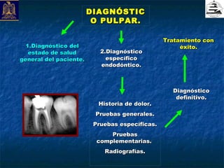 DIAGNÓSTIC
                         O PULPAR.

                                                Tratamiento con
  1.Diagnóstico del                                  éxito.
   estado de salud         2.Diagnóstico
general del paciente.        específico
                           endodóntico.



                                                  Diagnóstico
                                                   definitivo.
                          Historia de dolor.
                         Pruebas generales.
                         Pruebas específicas.
                              Pruebas
                          complementarias.
                            Radiografías.
 