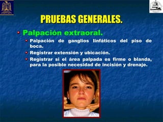 PRUEBAS GENERALES.
Palpación extraoral.
 Palpación de ganglios linfáticos del piso de
 boca.
 Registrar extensión y ubicación.
 Registrar si el área palpada es firme o blanda,
 para la posible necesidad de incisión y drenaje.
 