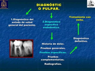 DIAGNÓSTIC
                         O PULPAR.

                                                Tratamiento con
  1.Diagnóstico del                                  éxito.
   estado de salud         2.Diagnóstico
general del paciente.        específico
                           endodóntico.



                                                  Diagnóstico
                                                   definitivo.
                          Historia de dolor.
                         Pruebas generales.
                         Pruebas específicas.
                              Pruebas
                          complementarias.
                            Radiografías.
 