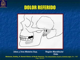 DOLOR REFERIDO




           2dos y 3ros Molares Sup.                        Región Mandibular
                                                                  Oído
Glickman, Dudley, H. Dental Clinics of North America: The interpretation of pain of dental origin. Nov, 1967
                                         Págs. 535-547
 