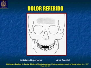 DOLOR REFERIDO




                 Incisivos Superiores                            Area Frontal
Glickman, Dudley, H. Dental Clinics of North America: The interpretation of pain of dental origin. Nov, 1967
                                         Págs. 535-547
 