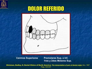 DOLOR REFERIDO




            Caninos Superiores                  Premolares Sup. e Inf.
                                                1ros y 2dos Molares Sup.
Glickman, Dudley, H. Dental Clinics of North America: The interpretation of pain of dental origin. Nov, 1967
                                         Págs. 535-547
 