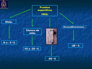 Pruebas
                        específicas
                             FRÍO.


 Hielo.

                                           Diclorodifluormetano.

              Cloruro de
                 etilo.



O a - 5 oC
                                                   -28   o
                                                             C
             -10 a –25 o C



                                 -69 o C
 