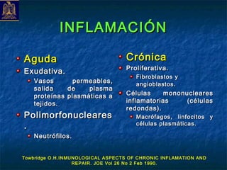 INFLAMACIÓN

Aguda                              Crónica
                                   Proliferativa.
Exudativa.
                                      Fibroblastos y
   Vasos         permeables,          angioblastos .
   salida      de    plasma
   proteínas   plasmáticas a       Células    mononucleares
   tejidos.                        inflamatorias    (células
                                   redondas).
Polimorfonucleares                    Macrófagos, linfocitos y
.                                     células plasmáticas.

   Neutrófilos.


Towbridge O.H.INMUNOLOGICAL ASPECTS OF CHRONIC INFLAMATION AND
                  REPAIR. JOE Vol 26 No 2 Feb 1990.
 