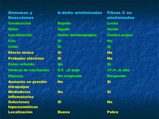 Síntomas y             A-delta mielinizadas   Fibras C no
Reacciones                                    mielinizadas
Conducción             Rápida                 Lenta
Dolor                  Agudo                  Sordo
Localización           Unión dentinopulpar.   Centro pulpar
Frío                   Si                     No
Calor                  Si                     Si
Efecto iónico          Si                     No
Probador eléctrico     Si                     No
Dolor referido         No                     Si
Umbral de excitación   9.9 µA bajo            37.4 µA alto
Hipoxia                No responde            Responde
Aumento en presión     No                     Si
intrapulpar
Mediadores             No                     Si
inflamatorios
Soluciones             Si                     No
hiperosmóticas
Localización           Buena                  Pobre
 