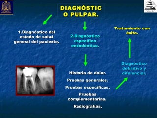 DIAGNÓSTIC
                         O PULPAR.

                                                Tratamiento con
  1.Diagnóstico del                                  éxito.
   estado de salud         2.Diagnóstico
general del paciente.        específico
                           endodóntico.



                                                  Diagnóstico
                                                  definitivo y
                          Historia de dolor.      diferencial.
                         Pruebas generales.
                         Pruebas específicas.
                              Pruebas
                          complementarias.
                            Radiografías.
 