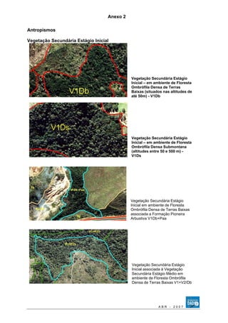 Anexo 2 
Antropismos 
Vegetação Secundária Estágio Inicial 
Vegetação Secundária Estágio 
Inicial – em ambiente de Floresta 
Ombrófila Densa de Terras 
Baixas (situados nas altitudes de 
até 50m) - V1Db 
Vegetação Secundária Estágio 
Inicial – em ambiente de Floresta 
Ombrófila Densa Submontana 
(altitudes entre 50 e 500 m) - 
V1Ds 
Vegetação Secundária Estágio 
Inicial em ambiente de Floresta 
Ombrófila Densa de Terras Baixas 
associada a Formação Pioneira 
Arbustiva V1Db+Paa 
Vegetação Secundária Estágio 
Inicial associada à Vegetação 
Secundária Estágio Médio em 
ambiente de Floresta Ombrófila 
Densa de Terras Baixas V1+V2/Db 
A B R - 2 0 0 7 
 