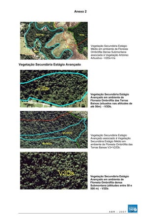 Anexo 2 
Vegetação Secundária Estágio 
Médio em ambiente de Floresta 
Ombrófila Densa Submontana 
associada à Vegetação Arbóreo 
Arbustiva - V2Ds+Va 
Vegetação Secundária Estágio Avançado 
Vegetação Secundária Estágio 
Avançado em ambiente de 
Floresta Ombrófila das Terras 
Baixas (situados nas altitudes de 
até 50m) - V3Db. 
Vegetação Secundária Estágio 
Avançado associado à Vegetação 
Secundária Estágio Médio em 
ambiente de Floresta Ombrófila das 
Terras Baixas V3+V2/Db. 
Vegetação Secundária Estágio 
Avançado em ambiente de 
Floresta Ombrófila densa 
Submontana (altitudes entre 50 e 
500 m) - V3Ds 
A B R - 2 0 0 7 
 