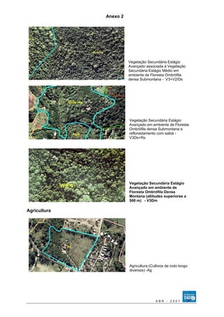 Anexo 2 
Vegetação Secundária Estágio 
Avançado associada à Vegetação 
Secundária Estágio Médio em 
ambiente de Floresta Ombrófila 
densa Submontana - V3+V2/Ds 
Vegetação Secundária Estágio 
Avançado em ambiente de Floresta 
Ombrófila densa Submontana e 
reflorestamento com sabiá - 
V3Ds+Rs 
Vegetação Secundária Estágio 
Avançado em ambiente de 
Floresta Ombrófila Densa 
Montana (altitudes superiores a 
500 m) - V3Dm 
Agricultura 
Agricultura (Cultivos de ciclo longo 
diversos) -Ag 
A B R - 2 0 0 7 
 