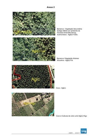Anexo 2 
Banana e Vegetação Secundária 
Estágio Médio em ambiente de 
Floresta Ombrófila Densa 
Submontana - Agl(b)+V2Ds. 
Banana e Vegetação Arbóreo 
Arbustiva - Agl(b)+Va 
Coco - Agl(c) 
Coco e Culturas de ciclo curto Agl(c)+Agc 
A B R - 2 0 0 7 
 
