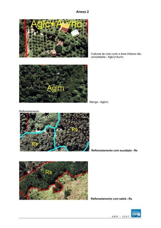 Anexo 2 
Culturas de ciclo curto e área Urbana não 
consolidada - Agl(c)+Au/nc 
Manga - Agl(m) 
Reflorestamento 
Reflorestamento com eucalipto - Re 
Reflorestamento com sabiá - Rs 
A B R - 2 0 0 7 
 