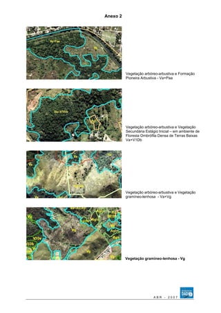 Anexo 2 
Vegetação arbóreo-arbustiva e Formação 
Pioneira Arbustiva - Va+Paa 
Vegetação arbóreo-arbustiva e Vegetação 
Secundária Estágio Inicial – em ambiente de 
Floresta Ombrófila Densa de Terras Baixas 
Va+V1Db 
Vegetação arbóreo-arbustiva e Vegetação 
gramíneo-lenhosa - Va+Vg 
Vegetação gramíneo-lenhosa - Vg 
A B R - 2 0 0 7 
 