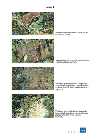 Anexo 2 
Vegetação gramíneo-lenhosa e Culturas de 
ciclo curto - Vg+Agc 
Vegetação gramíneo-lenhosa e área Urbana 
Não Consolidada - Vg+Au/nc 
Vegetação gramíneo-lenhosa e Vegetação 
Secundária Estágio Inicial – em ambiente de 
Floresta Ombrófila Densa de Terras Baixas - 
Vg+V1Db 
Vegetação gramíneo-lenhosa e Vegetação 
Secundária Estágio Inicial – em ambiente de 
Floresta Ombrófila Densa Montana - 
Vg+V1Dm 
A B R - 2 0 0 7 
 