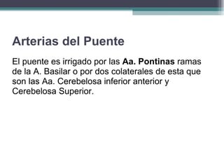 Arterias del Puente El puente es irrigado por las  Aa. Pontinas  ramas de la A. Basilar o por dos colaterales de esta que son las Aa. Cerebelosa inferior anterior y Cerebelosa Superior. 