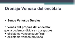 Drenaje Venoso del encéfalo Senos Venosos Durales Venas del propias del encefalo :  que la podemos dividir en dos grupos  el sistema venoso superficial  el sistema venoso profundo 