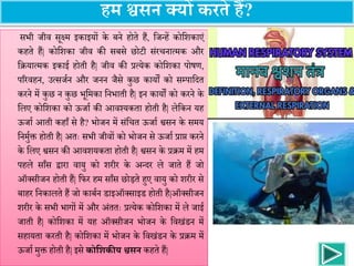 सभी जीव सूक्ष्म इकाइयों के बने होते हैं, जजन्हें कोजिकाएं
कहते हैं| कोजिका जीव की सबसे छोटी संरचनात्मक और
जियात्मक इकाई होती है| जीव की प्रत्येक कोजिका पोषण,
पररवहन, उत्सजजन और जनन जैसे कुछ कायों को सम्पाजित
करने में कुछ न कुछ भूजमका जनभाती है| इन कायों को करने के
जिए कोजिका को ऊजाज की आवश्यकता होती है| िेजकन यह
ऊजाज आती कहााँ से है? भोजन में संजचत ऊजाज श्वसन के समय
जनमुजक्त होती है| अतः सभी जीवों को भोजन से ऊजाज प्राप्त करने
के जिए श्वसन की आवियकता होती है| श्वसन के प्रिम में हम
पहिे सााँस द्वारा वायु को िरीर के अन्िर िे जाते हैं जो
ऑक्सीजन होती हैं| जिर हम सााँस छोड़ते हुए वायु को िरीर से
बाहर जनकािते हैं जो काबजन डाइऑक्साइड होती है|ऑक्सीजन
िरीर के सभी भागों में और अंततः प्रत्येक कोजिका में िे जाई
जाती है| कोजिका में यह ऑक्सीजन भोजन के जवखंडन में
सहायता करती है| कोजिका में भोजन के जवखंडन के प्रिम में
ऊजाज मुक्त होती है| इसे कोशिकीय श्वसन कहते हैं|
हम श्वसन क्यों करते हैं?
 