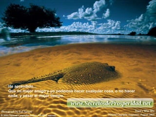 He aprendido... Que mi mejor amigo y yo podemos hacer cualquier cosa, o no hacer nada, y pasar el mejor tiempo.   