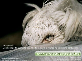 He aprendido... Que no importa qué tanto está roto tu corazón, el mundo no se detiene por tu pena.  