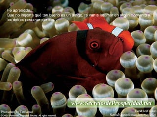 He aprendido...  Que no importa qué tan bueno es un amigo, te van a lastimar en algún momento y los debes perdonar por eso. 