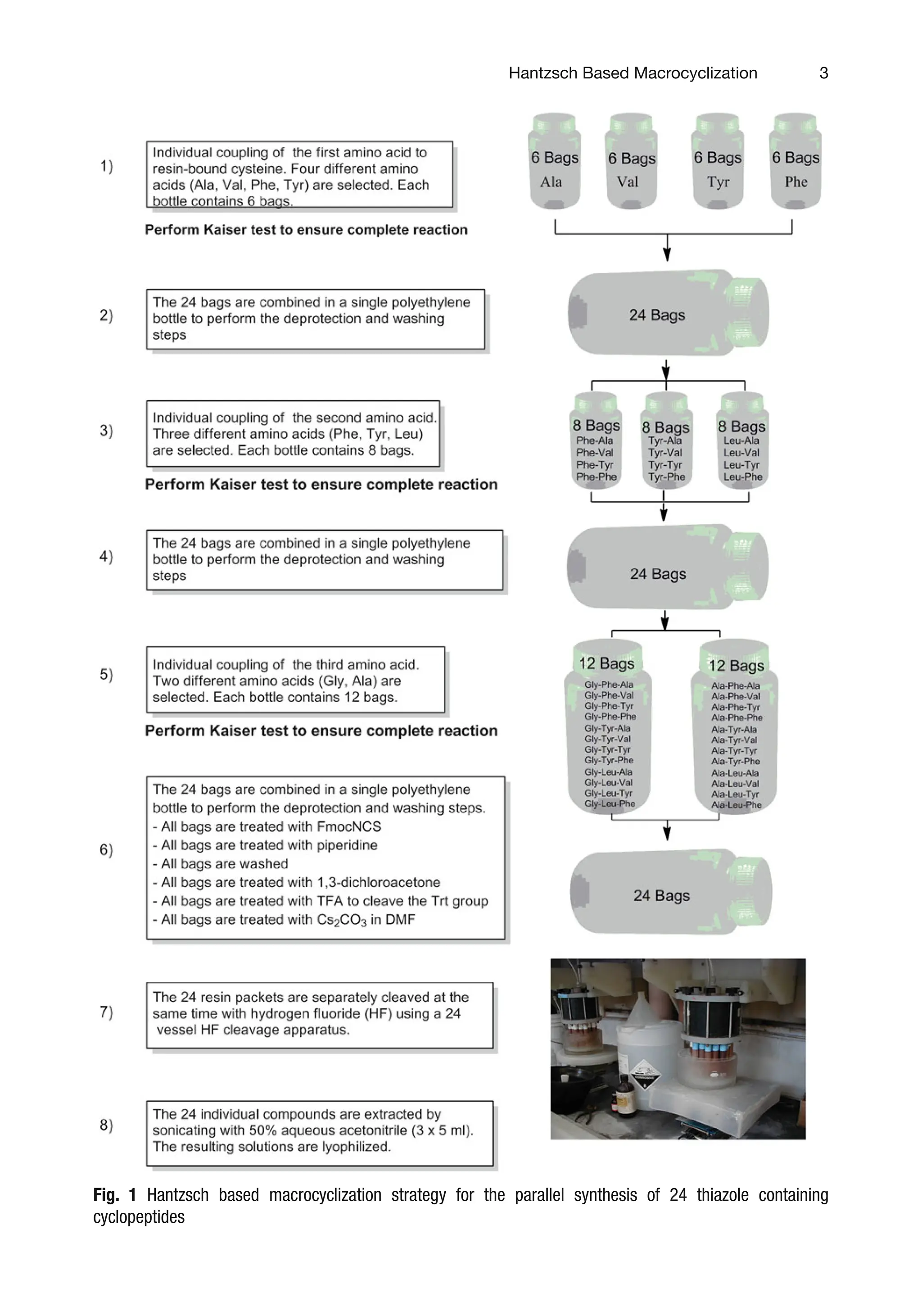 3
Fig. 1 Hantzsch based macrocyclization strategy for the parallel synthesis of 24 thiazole containing
cyclopeptides
Hantzsch Based Macrocyclization
 