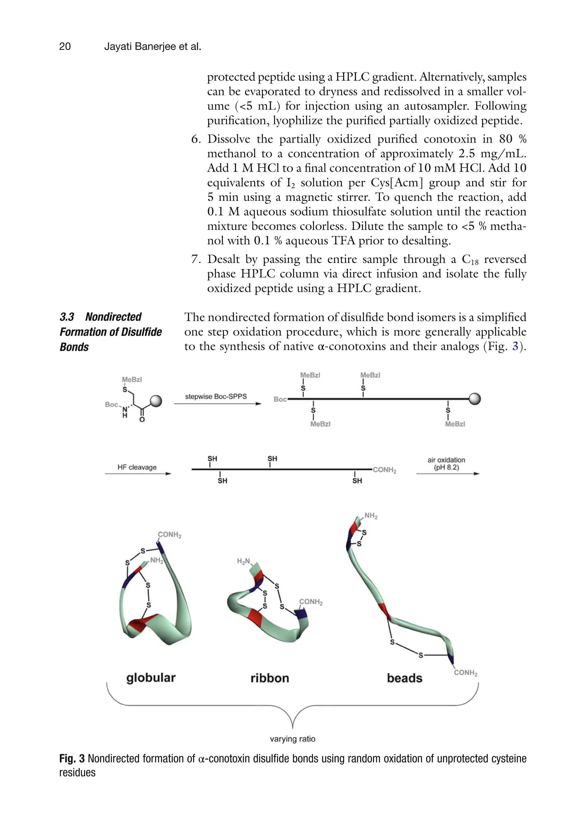 20
protected peptide using a HPLC gradient. Alternatively, samples
can be evaporated to dryness and redissolved in a smaller vol-
ume (<5 mL) for injection using an autosampler. Following
purification, lyophilize the purified partially oxidized peptide.
6. Dissolve the partially oxidized purified conotoxin in 80 %
methanol to a concentration of approximately 2.5 mg/mL.
Add 1 M HCl to a final concentration of 10 mM HCl. Add 10
equivalents of I2 solution per Cys[Acm] group and stir for
5 min using a magnetic stirrer. To quench the reaction, add
0.1 M aqueous sodium thiosulfate solution until the reaction
mixture becomes colorless. Dilute the sample to <5 % metha-
nol with 0.1 % aqueous TFA prior to desalting.
7. Desalt by passing the entire sample through a C18 reversed
phase HPLC column via direct infusion and isolate the fully
oxidized peptide using a HPLC gradient.
The nondirected formation of disulfide bond isomers is a simplified
one step oxidation procedure, which is more generally applicable
to the synthesis of native α-conotoxins and their analogs (Fig. 3).
3.3 Nondirected
Formation of Disulfide
Bonds
Fig. 3 Nondirected formation of α-conotoxin disulfide bonds using random oxidation of unprotected cysteine
residues
Jayati Banerjee et al.
 