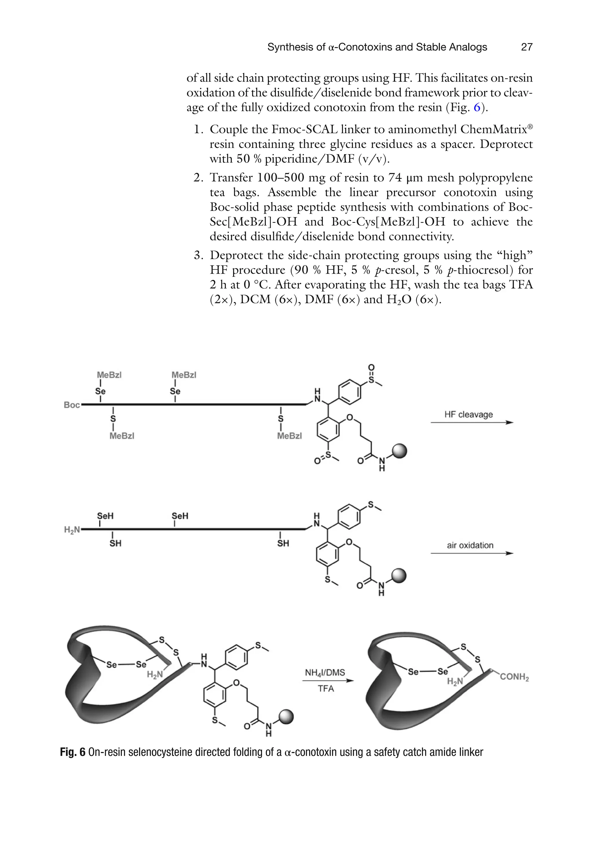 27
of all side chain protecting groups using HF. This facilitates on-resin
oxidation of the disulfide/diselenide bond framework prior to cleav-
age of the fully oxidized conotoxin from the resin (Fig. 6).
1. Couple the Fmoc-SCAL linker to aminomethyl ChemMatrix®
resin containing three glycine residues as a spacer. Deprotect
with 50 % piperidine/DMF (v/v).
2. Transfer 100–500 mg of resin to 74 μm mesh polypropylene
tea bags. Assemble the linear precursor conotoxin using
Boc-solid phase peptide synthesis with combinations of Boc-
Sec[MeBzl]-OH and Boc-Cys[MeBzl]-OH to achieve the
desired disulfide/diselenide bond connectivity.
3. Deprotect the side-chain protecting groups using the “high”
HF procedure (90 % HF, 5 % p-cresol, 5 % p-thiocresol) for
2 h at 0 °C. After evaporating the HF, wash the tea bags TFA
(2×), DCM (6×), DMF (6×) and H2O (6×).
Fig. 6 On-resin selenocysteine directed folding of a α-conotoxin using a safety catch amide linker
Synthesis of α-Conotoxins and Stable Analogs
 