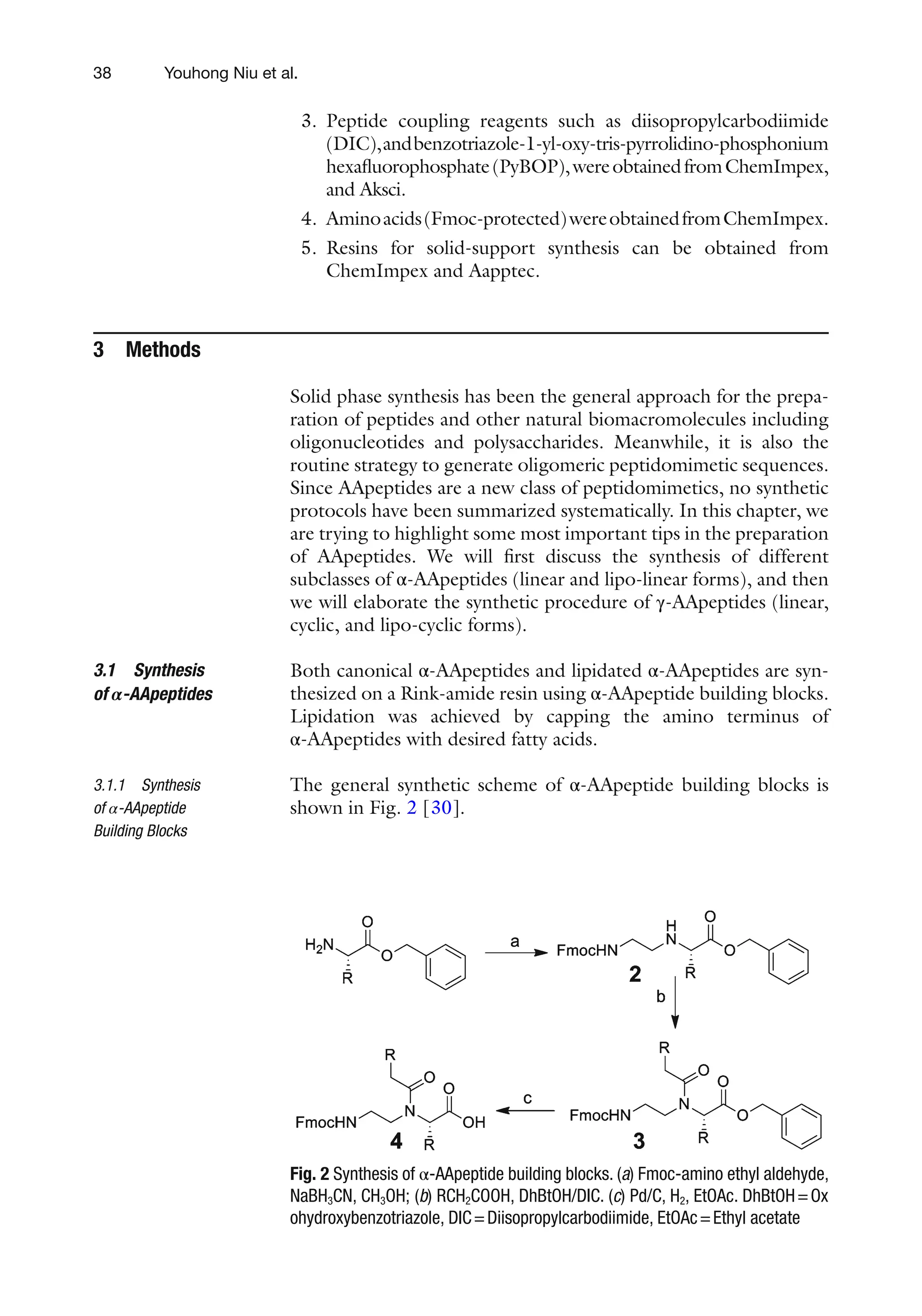 38
3. Peptide coupling reagents such as diisopropylcarbodiimide
(DIC),andbenzotriazole-1-yl-oxy-tris-pyrrolidino-phosphonium
hexafluorophosphate(PyBOP),wereobtainedfromChemImpex,
and Aksci.
4. Aminoacids(Fmoc-protected)wereobtainedfromChemImpex.
5. Resins for solid-support synthesis can be obtained from
ChemImpex and Aapptec.
3 Methods
Solid phase synthesis has been the general approach for the prepa-
ration of peptides and other natural biomacromolecules including
oligonucleotides and polysaccharides. Meanwhile, it is also the
routine strategy to generate oligomeric peptidomimetic sequences.
Since AApeptides are a new class of peptidomimetics, no synthetic
protocols have been summarized systematically. In this chapter, we
are trying to highlight some most important tips in the preparation
of AApeptides. We will first discuss the synthesis of different
subclasses of α-AApeptides (linear and lipo-linear forms), and then
we will elaborate the synthetic procedure of γ-AApeptides (linear,
cyclic, and lipo-cyclic forms).
Both canonical α-AApeptides and lipidated α-AApeptides are syn-
thesized on a Rink-amide resin using α-AApeptide building blocks.
Lipidation was achieved by capping the amino terminus of
α-AApeptides with desired fatty acids.
The general synthetic scheme of α-AApeptide building blocks is
shown in Fig. 2 [30].
3.1 Synthesis
of α-AApeptides
3.1.1 Synthesis
of α-AApeptide
Building Blocks
Fig. 2 Synthesis of α-AApeptide building blocks. (a) Fmoc-amino ethyl aldehyde,
NaBH3CN, CH3OH; (b) RCH2COOH, DhBtOH/DIC. (c) Pd/C, H2, EtOAc. DhBtOH=Ox
ohydroxybenzotriazole, DIC=Diisopropylcarbodiimide, EtOAc=Ethyl acetate
Youhong Niu et al.
 