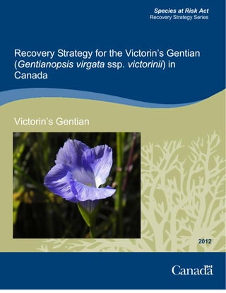 Species at Risk Act
Recovery Strategy Series
Recovery Strategy for the Victorin’s Gentian
(Gentianopsis virgata ssp. victorinii) in
Canada
Victorin’s Gentian
2012
 