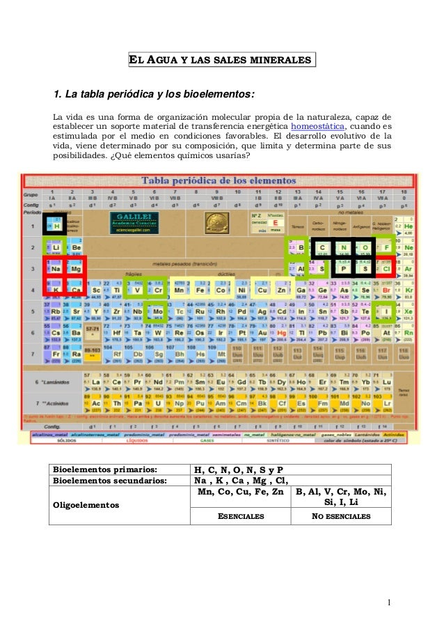 agua y sales la tabla peridica y los bioelementos flavorsomefo - Tabla Periodica De Los Elementos Quimicos Galilei agua y sales la tabla peridica y los bioelementos flavorsomefo - Tabla Periodica De Los Elementos Quimicos Galilei