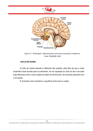 Figura 10 – Pineal gland = glândula pineal, local onde é produzida a melatonina.
                                                                   Fonte: PSIQWEB, 2002


                     CICLO DO SONO:


                    O ciclo do recém-nascido é diferente dos adultos, pelo fato de que a cada
       duas/três horas acorda para se alimentar. Ao ser ajustado ao ciclo do dia e da noite
       esta diferença entre o sono-vigília do bebê vai diminuindo, se tornando parecido com
       o do adulto.
                    É chamado ciclo circadiano o equilíbrio entre sono e vigília.




                                                                       21
Este material deve ser utilizado apenas como parâmetro de estudo deste Programa. Os créditos deste conteúdo são dados aos seus respectivos autores
 